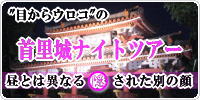 目からウロコの首里城ナイトツアー 目からウロコの首里城ナイトツアー
